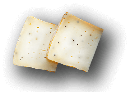 Formaggio-Tabui